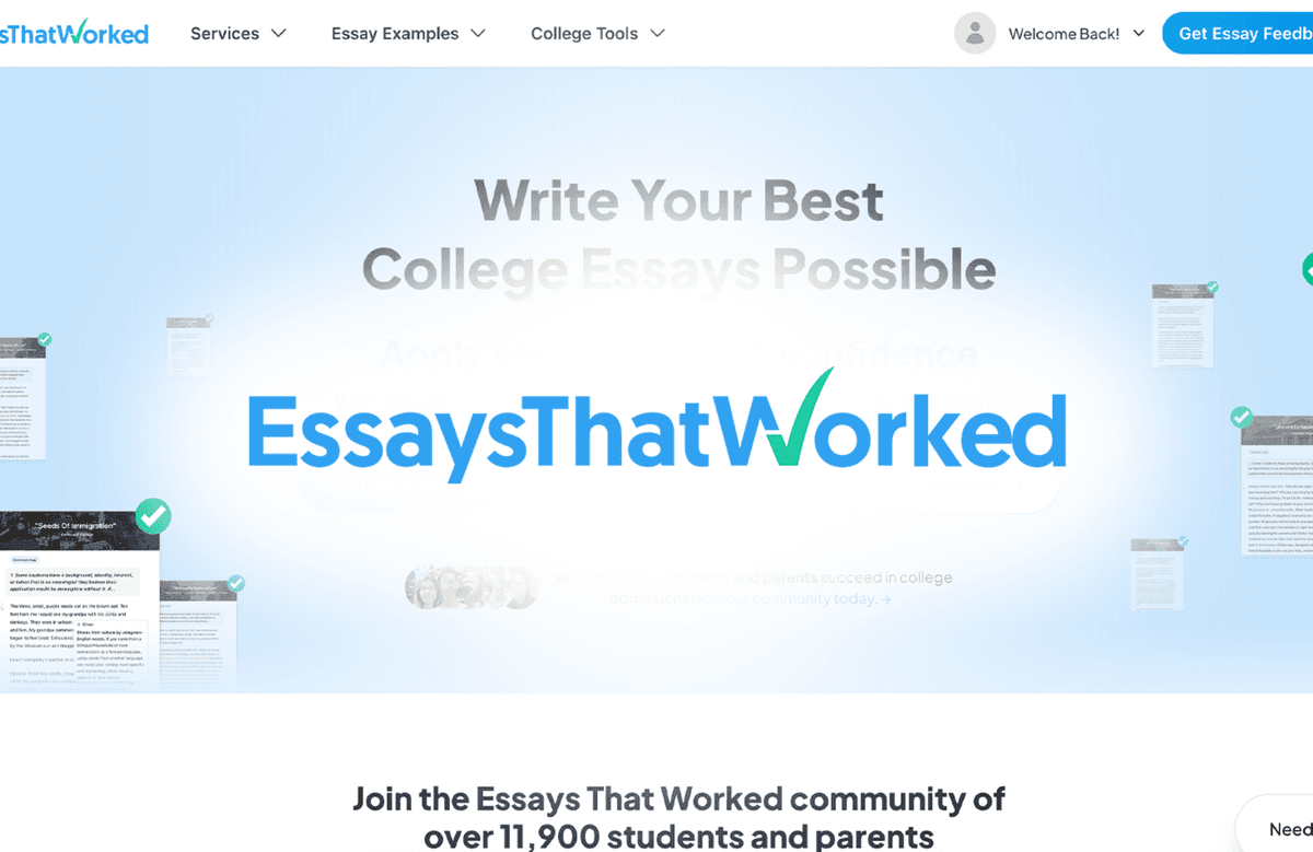 Essays That Worked
